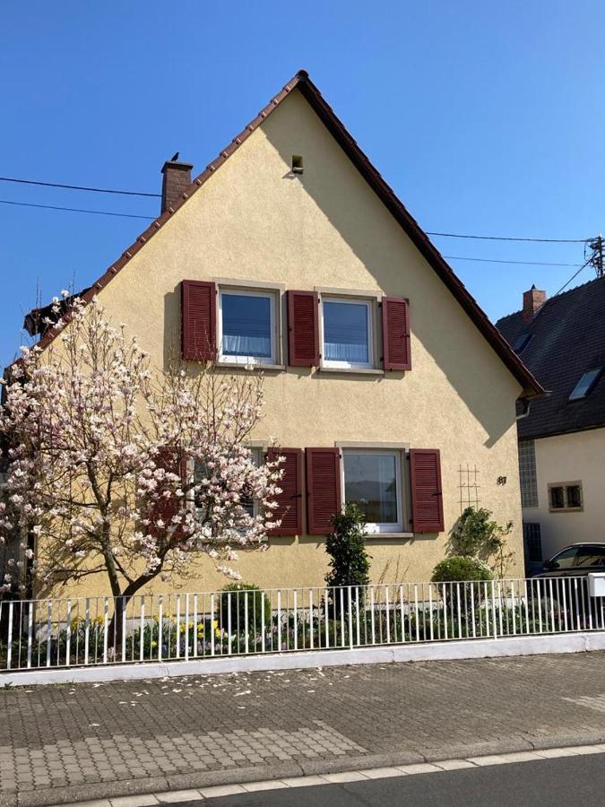 Terrassenwohnung Neustadt an der Weinstraße 외부 사진
